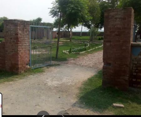 Govt Primary School Chohaywala
