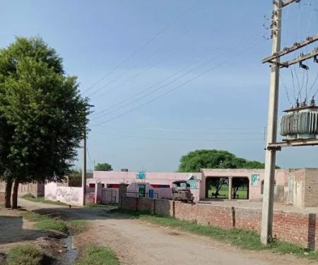 Govt Primary school Chah Buda