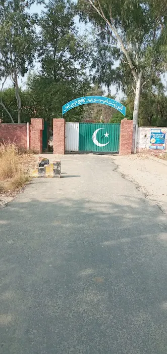 Government Graduate College (boys) Noorpur Thal Picture 2