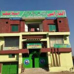 Alfarabi Health education system Timergara