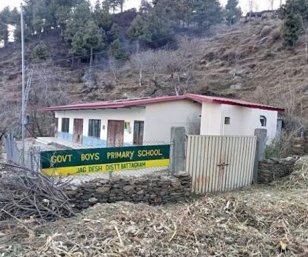Primary school jugdes