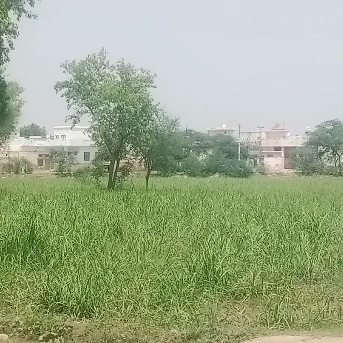 Govt College Of Commerce Sargodha Picture 1