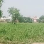 Govt College Of Commerce Sargodha