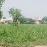 Govt College Of Commerce Sargodha ico