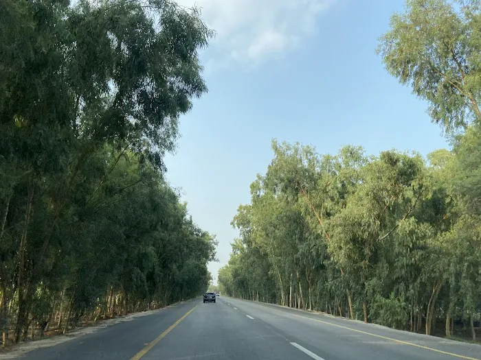 Govt College Of Commerce Sargodha Picture 2