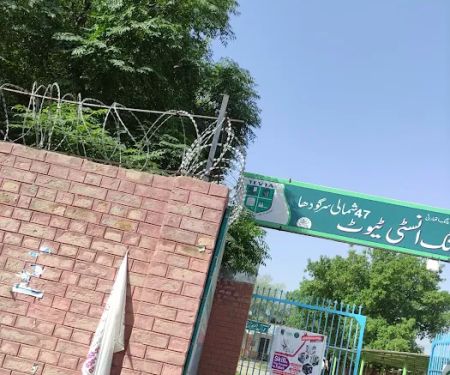Government Technical and Vocational College