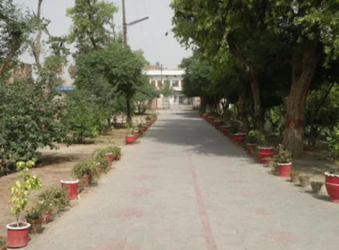 Government Technical and Vocational College Picture 6