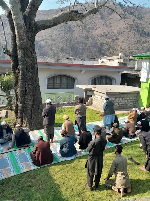 Shangla chakisar Picture 6