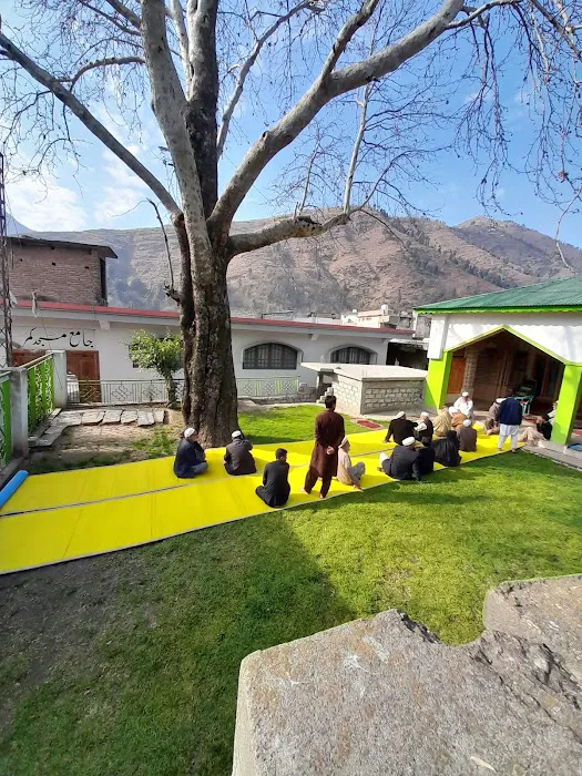 Shangla chakisar Picture 5