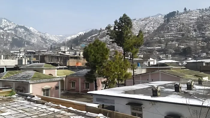 Shangla chakisar Picture 8