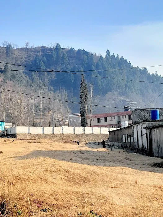 Shangla chakisar Picture 9