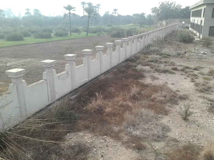 Pir Shah ESSA Degree College Bilot Sharif Picture 3