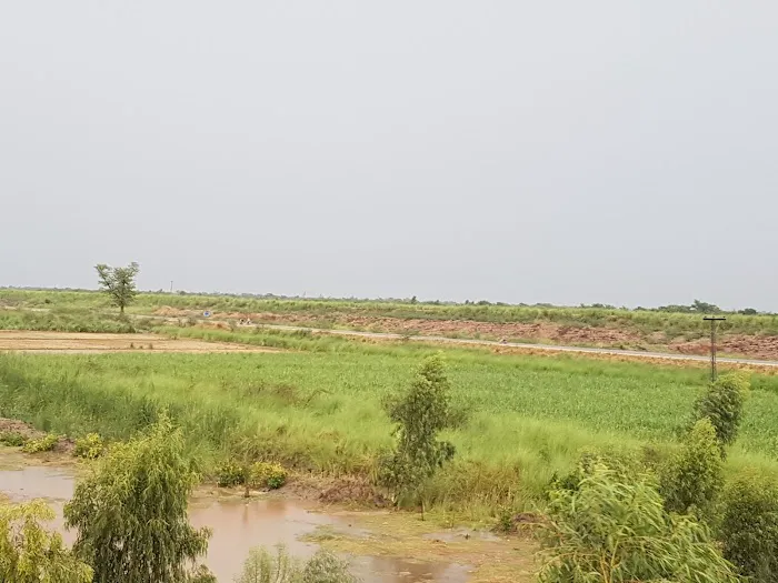 Alabbas Science School and College Picture 4