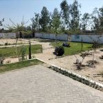 Govt.Primary School CHAK 45 DB