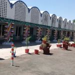 gmps gidder khadi Noor pur khokhran