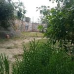 Shaheen public high schools likore kambat