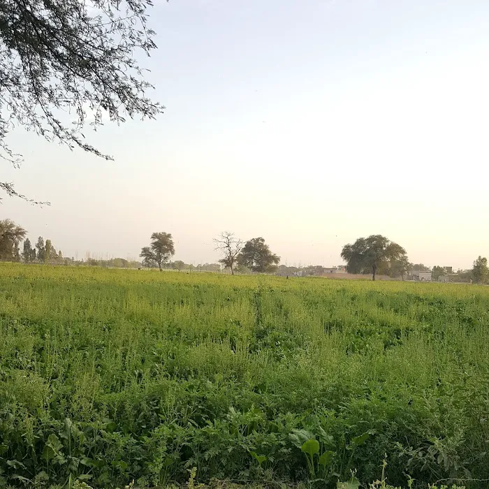 Govt Degree College for Women Picture 3