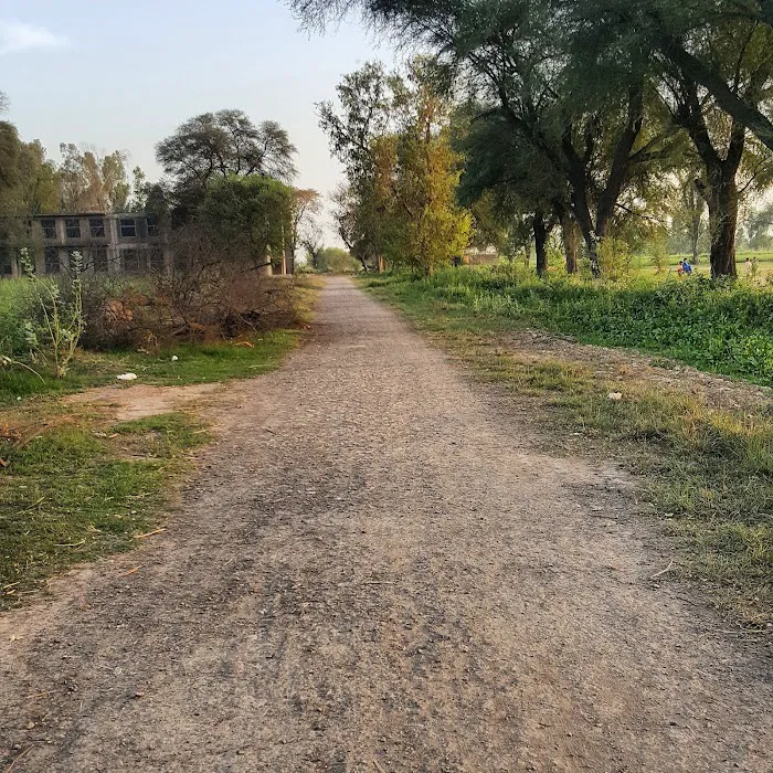 Govt Degree College for Women Picture 6