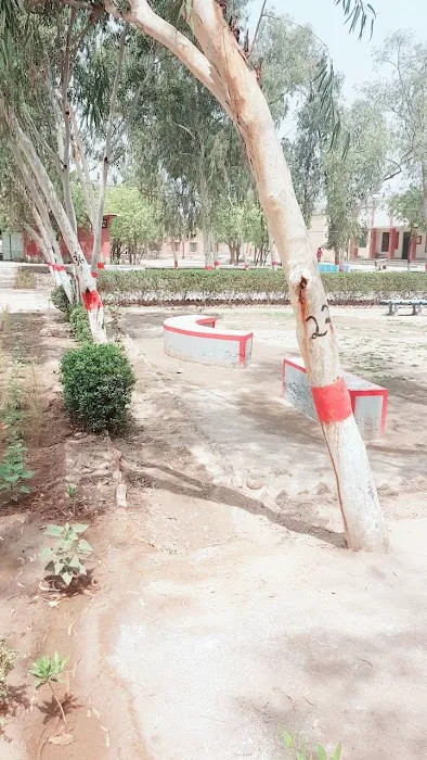 Govt Jamia Nusrat ( W) Chenab Nagar Picture 1