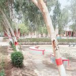 Govt Jamia Nusrat ( W) Chenab Nagar