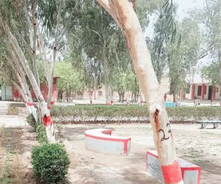 Govt Jamia Nusrat ( W) Chenab Nagar