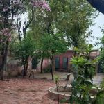 Govt Boys Primary School Kasso Ke