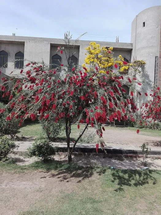 Pak Polytechnic Institute Chiniot Picture 8