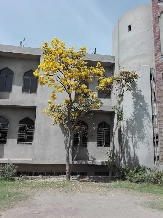 Pak Polytechnic Institute Chiniot Picture 5