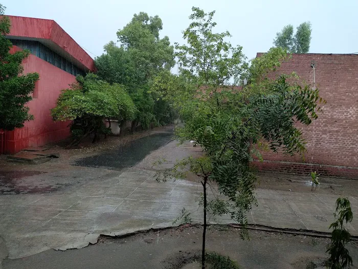 Govt Islamia Post Graduate College Chiniot Picture 8