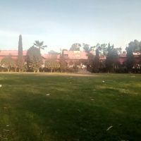 Govt Islamia Post Graduate College Chiniot ico
