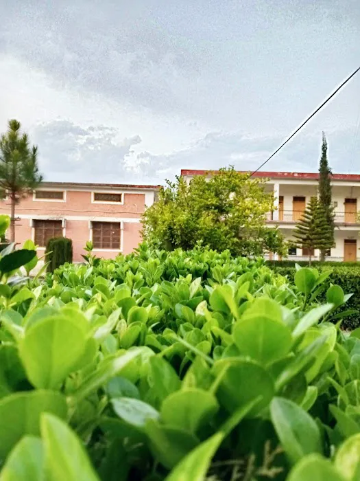 Government Degree College (GDC) Wari Picture 2