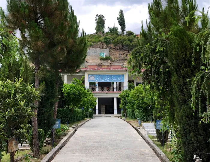 Government Degree College (GDC) Wari Picture 6