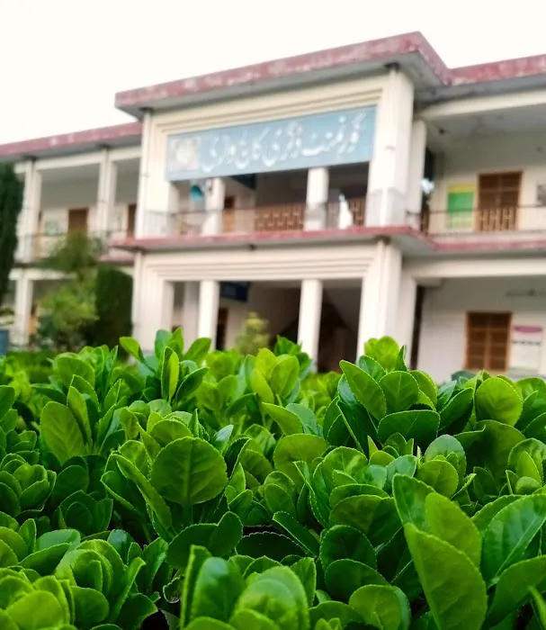 Government Degree College (GDC) Wari Picture 4