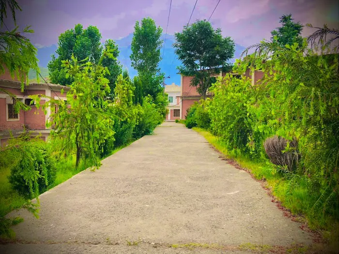 Government Degree College (GDC) Wari Picture 9
