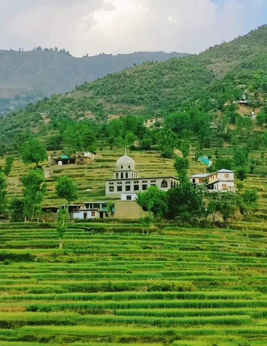 Shaheen Model High School And College Wari Picture 6