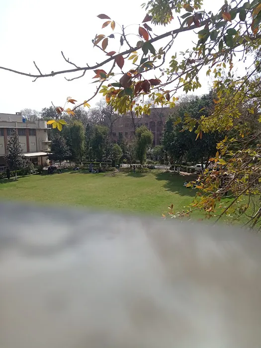 UET Peshawar Administration Block Picture 5