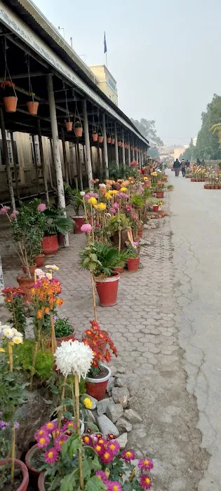 Main Administration Block University of Peshawar Picture 8