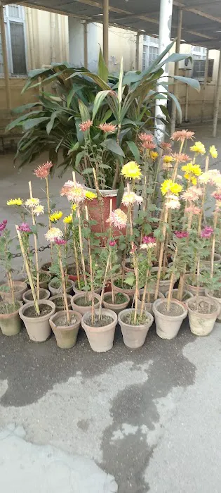 Main Administration Block University of Peshawar Picture 6