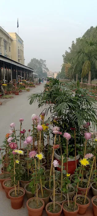 Main Administration Block University of Peshawar Picture 7