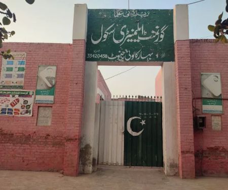 Govt elementary School (Boys) , Bihar Colony, Chiniot