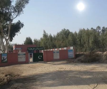 Govt Primar School Dala kolony