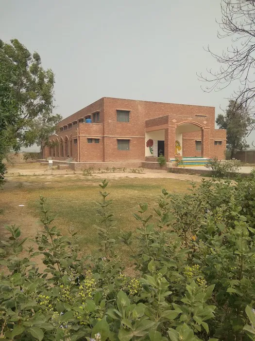 Government Associate College for Women, Sillanwali Picture 2