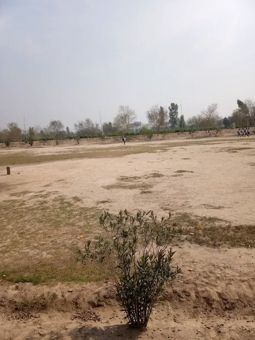 Govt. Boys Degree College Sillanwali Picture 9