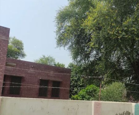 Govt. Boys Primary School Chak 91 SB
