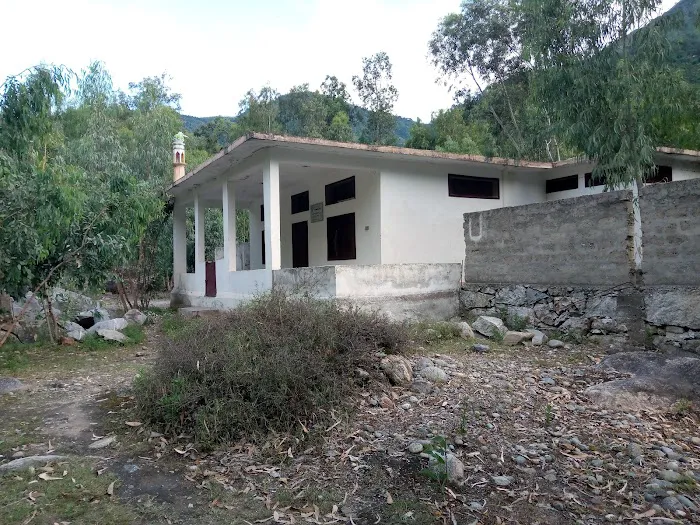 Abu hurairah model School & college Picture 8