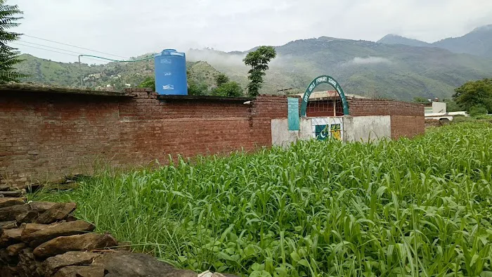 Govt Girls Primary School Teroona Picture 1