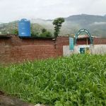 Govt Girls Primary School Teroona