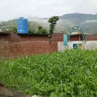 Govt Girls Primary School Teroona ico