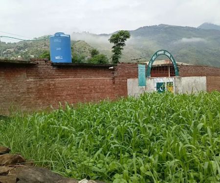 Govt Girls Primary School Teroona