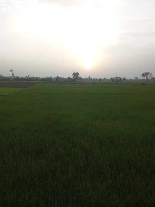 Aspire College Sukheke Campus Picture 2